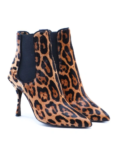 Shop Dolce & Gabbana Ankle Boot Leo In Haalm Leo