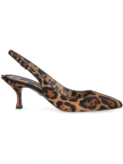 Shop Dolce & Gabbana Calfhair Pointy-toe Slingback In Multicolor