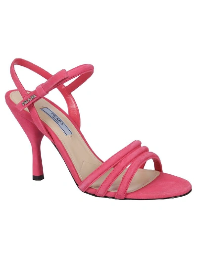 Shop Prada Logo Plaque Sandals In Fuchsia