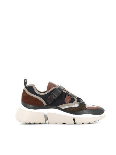 Shop Chloé Chloè Sneakers Low Sonnie In Multicolored