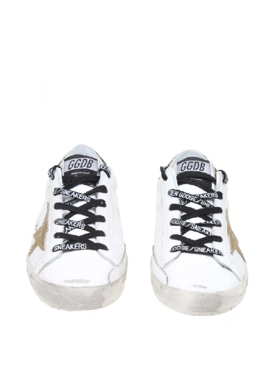 Shop Golden Goose Superstar Sneakers In White Color Leather