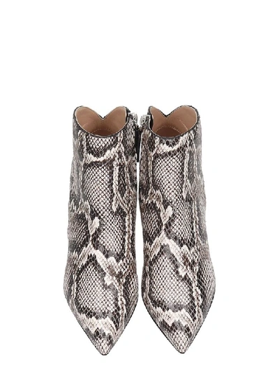 Shop Giuseppe Zanotti Tysha High Heels Ankle Boots In Animalier Leather