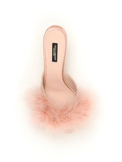 Shop Dolce & Gabbana Marabou Keira Mules In Nudo Nudo (pink)