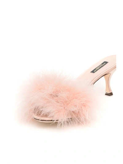 Shop Dolce & Gabbana Marabou Keira Mules In Nudo Nudo (pink)