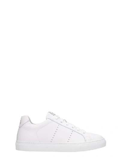 Shop National Standard Sneakers In White Leather