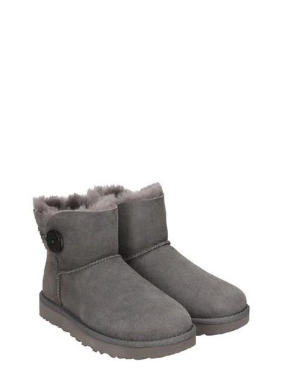 Shop Ugg Mini Bailey But Low Heels Ankle Boots In Grey Suede