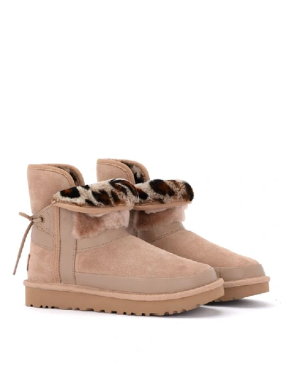 Shop Ugg Classic Leopard Lined Bow Ankle Boot In Beige Suede.