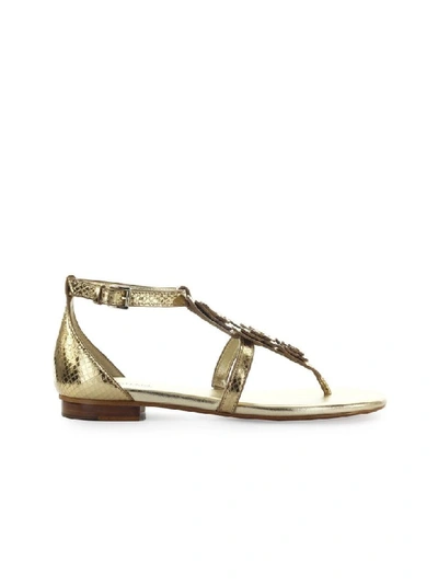 Shop Michael Kors Felicity Pale Gold Thong Sandal In Pale Gold (gold)