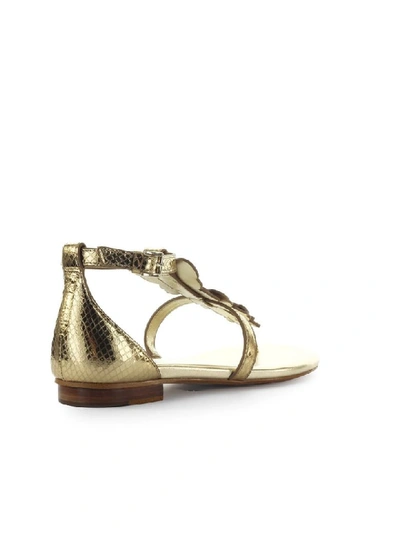Shop Michael Kors Felicity Pale Gold Thong Sandal In Pale Gold (gold)