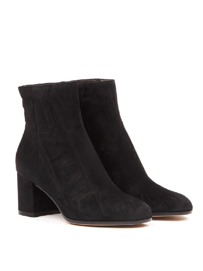 Gianvito Rossi Block Heel Ankle Boots With Suede Finish In Black
