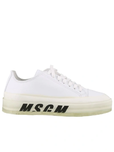 Shop Msgm Floating Sneakers In White