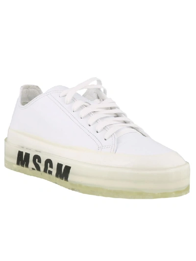 Shop Msgm Floating Sneakers In White