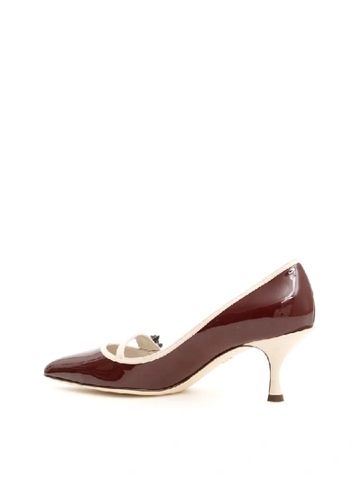 Shop Dolce & Gabbana Patent Lori Pumps In Bordeauxghiaccio (beige)