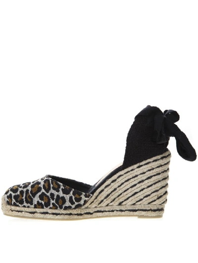 Shop Castaã±er Leopard Carina Cotton Canvas Espadrillas In Black/multicolor