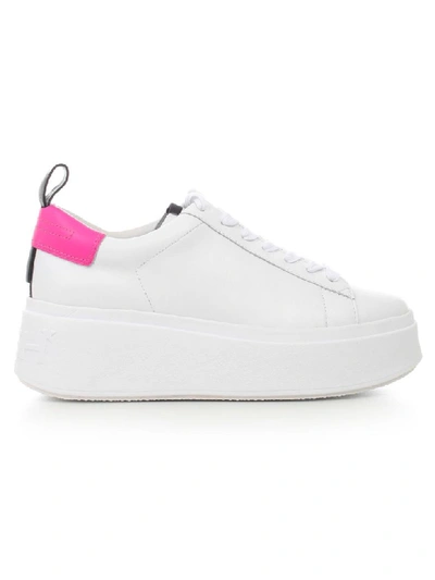 Ash Neon Heel Platform Sneakers In White Pink Black