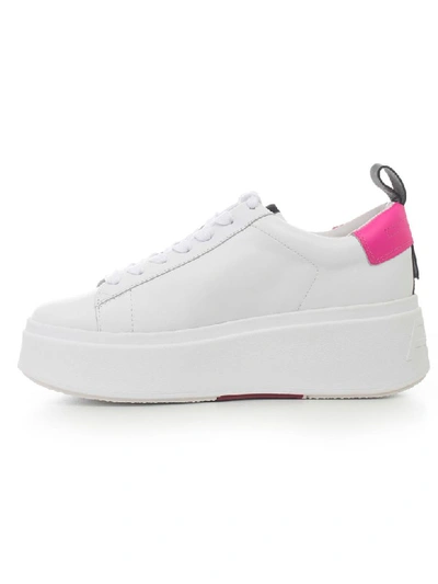 Shop Ash Sneakers Nappa In White Pink Black