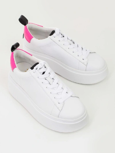 Ash Neon Heel Platform Sneakers In White Pink Black