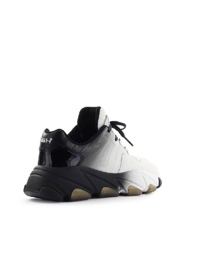 Shop Ash Extasy White Black Sneaker In Bianco / Nero (white)