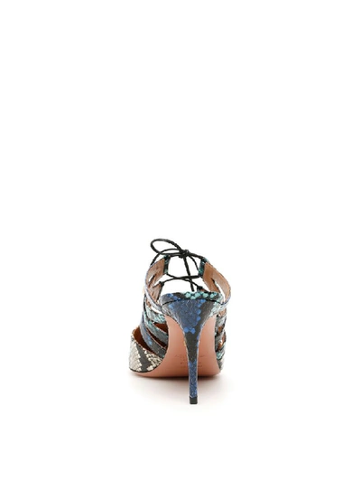 Shop Aquazzura Belgravia Mules In Multicolor (blue)