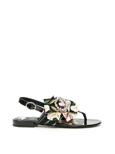 Shop Dolce & Gabbana Patent Sandals With Bow In Gigli Fdo Nero (black)