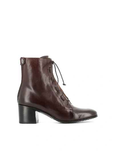 Shop Alberto Fasciani Lace-up Boot Windy 50026 In Brown