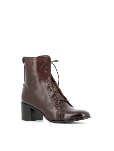 Shop Alberto Fasciani Lace-up Boot Windy 50026 In Brown