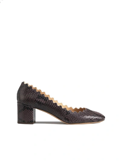 Shop Chloé Python Print Low Heel- Wavy Edge/bordo Ondulato Tacco Basso In Charcoal Black