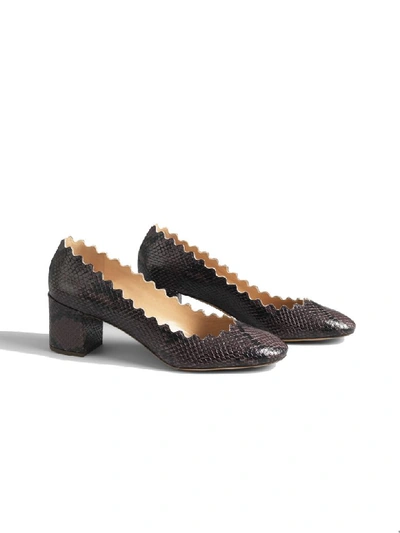 Shop Chloé Python Print Low Heel- Wavy Edge/bordo Ondulato Tacco Basso In Charcoal Black