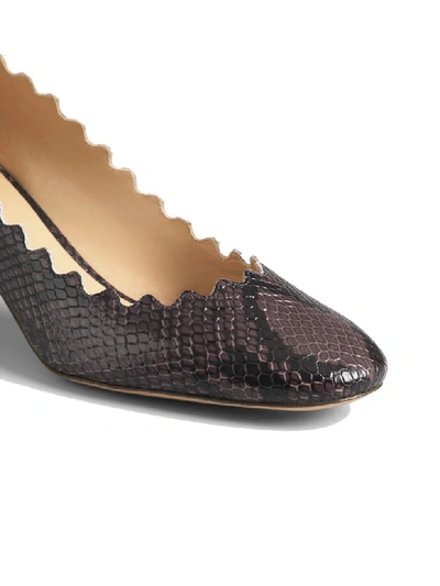 Shop Chloé Python Print Low Heel- Wavy Edge/bordo Ondulato Tacco Basso In Charcoal Black