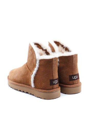 Shop Ugg Classic Fluff Mini In Chestnut