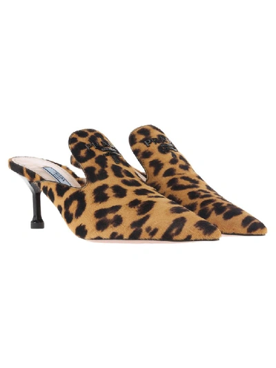 Shop Prada Leopard Print Lettering Logo Mules In Honey + Brown