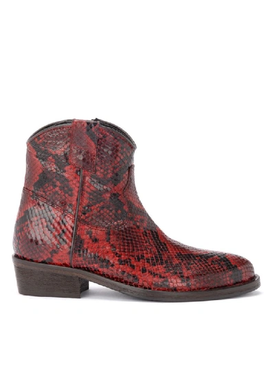 Shop Via Roma 15 Texan Ankle Boot In Red Python Print Leather In Rosso