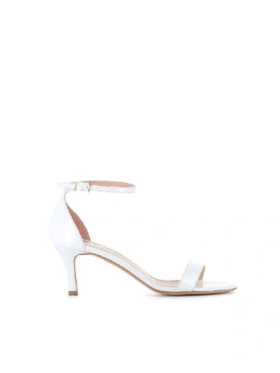 Shop Antonio Barbato Sandals Ab9602 In White