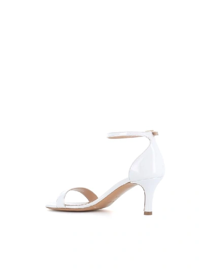 Shop Antonio Barbato Sandals Ab9602 In White