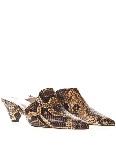 Shop Aldo Castagna Snake Leather Mules In Yellow Python