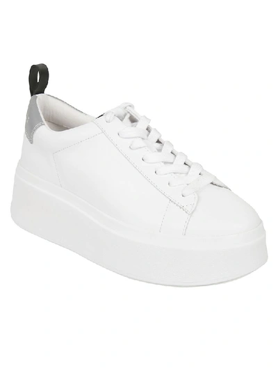 Shop Ash Moon Sneakers In White/black