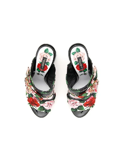 Shop Dolce & Gabbana Keira Mules In Mix Rose Fdo Bco Nat (black)
