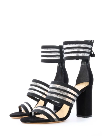 Shop Alexandre Birman Shadow Sandal Black Suede