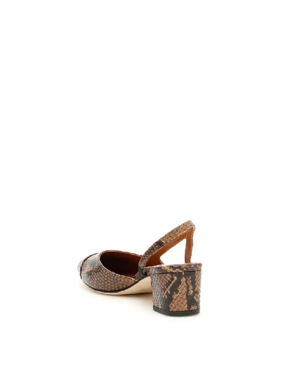 Shop Paris Texas Python-print Slingbacks In Brown Camel (brown)