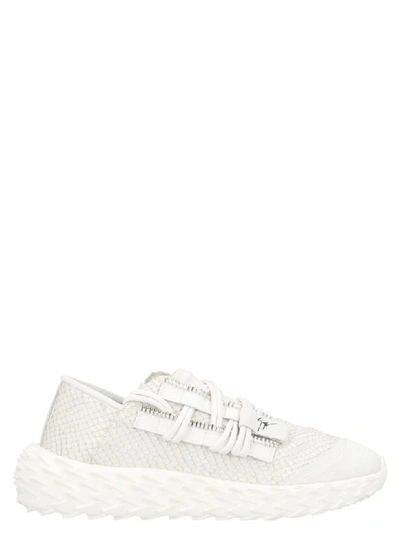 Shop Giuseppe Zanotti Urchin Shoes In White