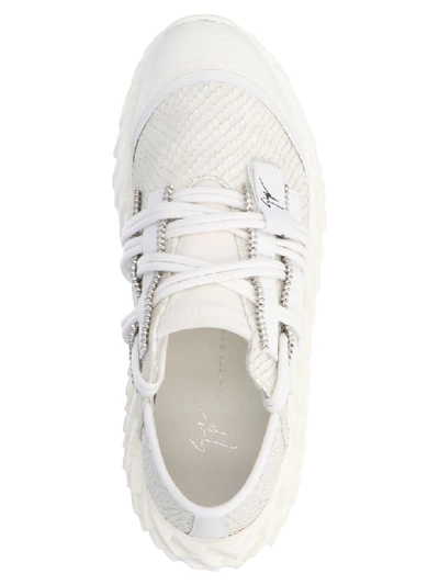 Shop Giuseppe Zanotti Urchin Shoes In White