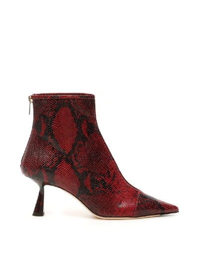 Shop Jimmy Choo Snake Print Kix 65 Booties In Bordeaux (red)