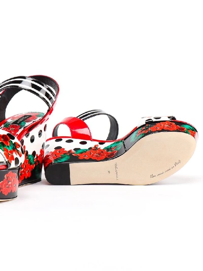 Shop Dolce & Gabbana Printed Wedge In Gerani/pois F.bianco