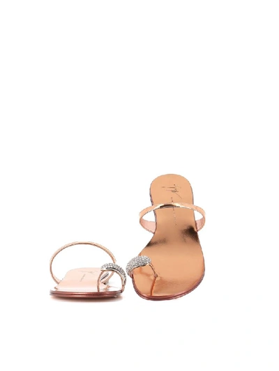 Shop Giuseppe Zanotti Sandals Ring In Copper