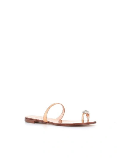 Shop Giuseppe Zanotti Sandals Ring In Copper