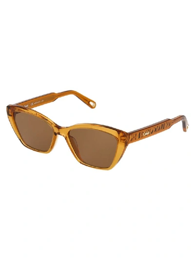 Shop Chloé Sunglasses In Brick