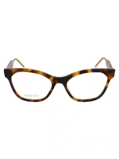 Shop Gucci Glasses In Havana Havana Transparent