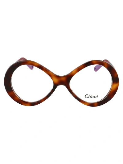 Shop Chloé Eyewear In Havana