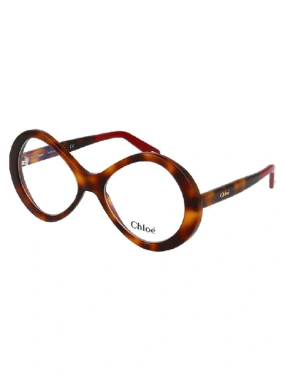 Shop Chloé Eyewear In Havana