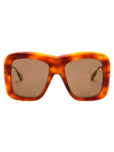 Shop Gucci Sunglasses In Havana Gold Brown